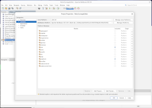 Project properties of the main module